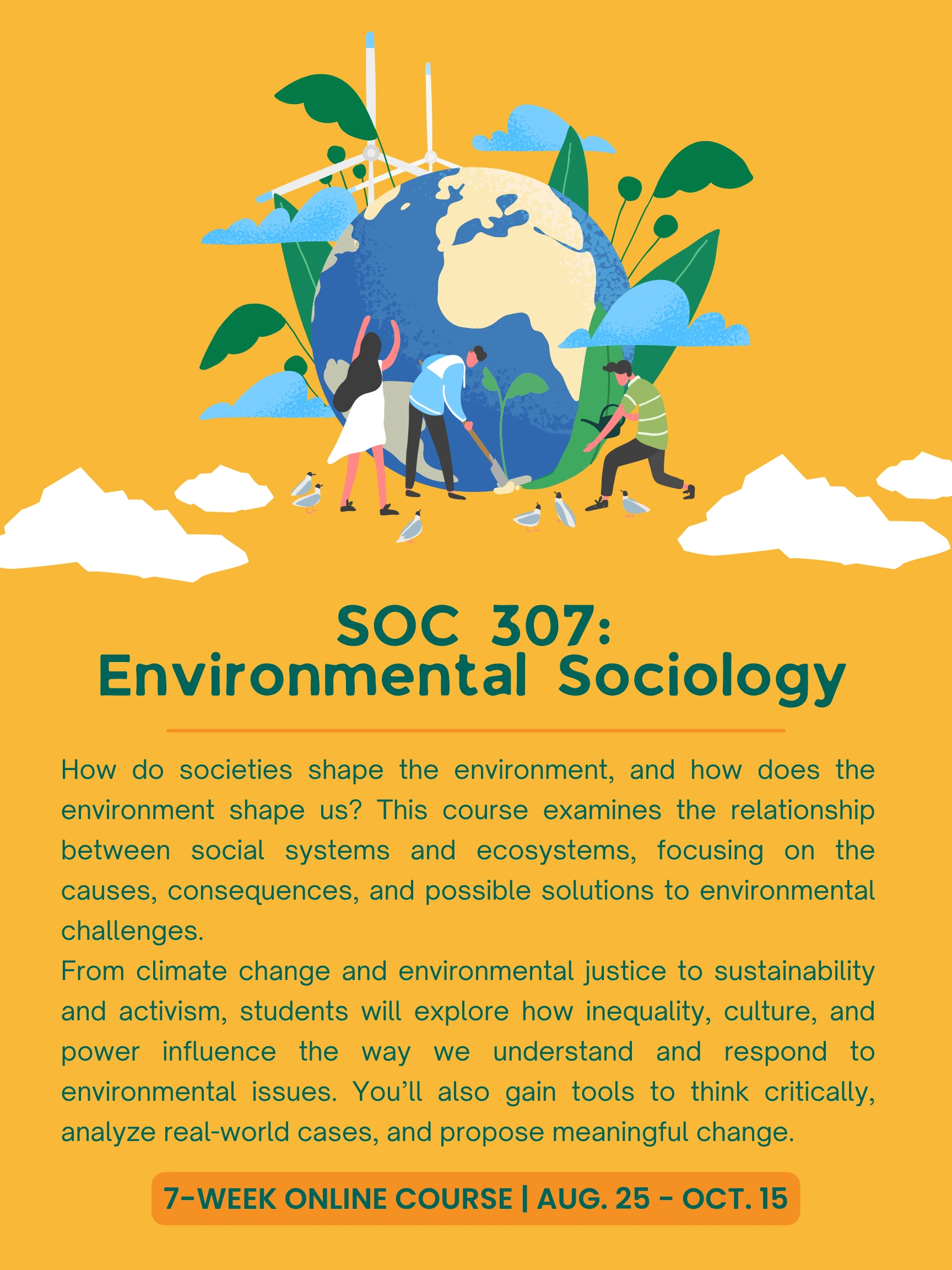 soc 307 flyer
