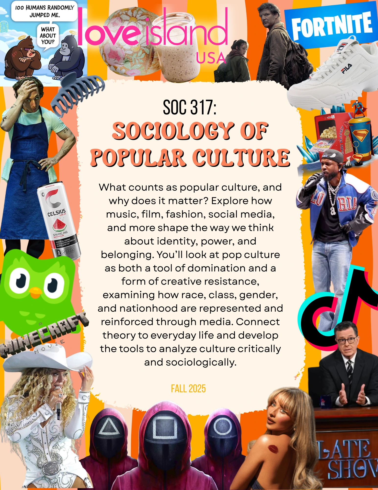 Soc 317 Flyer