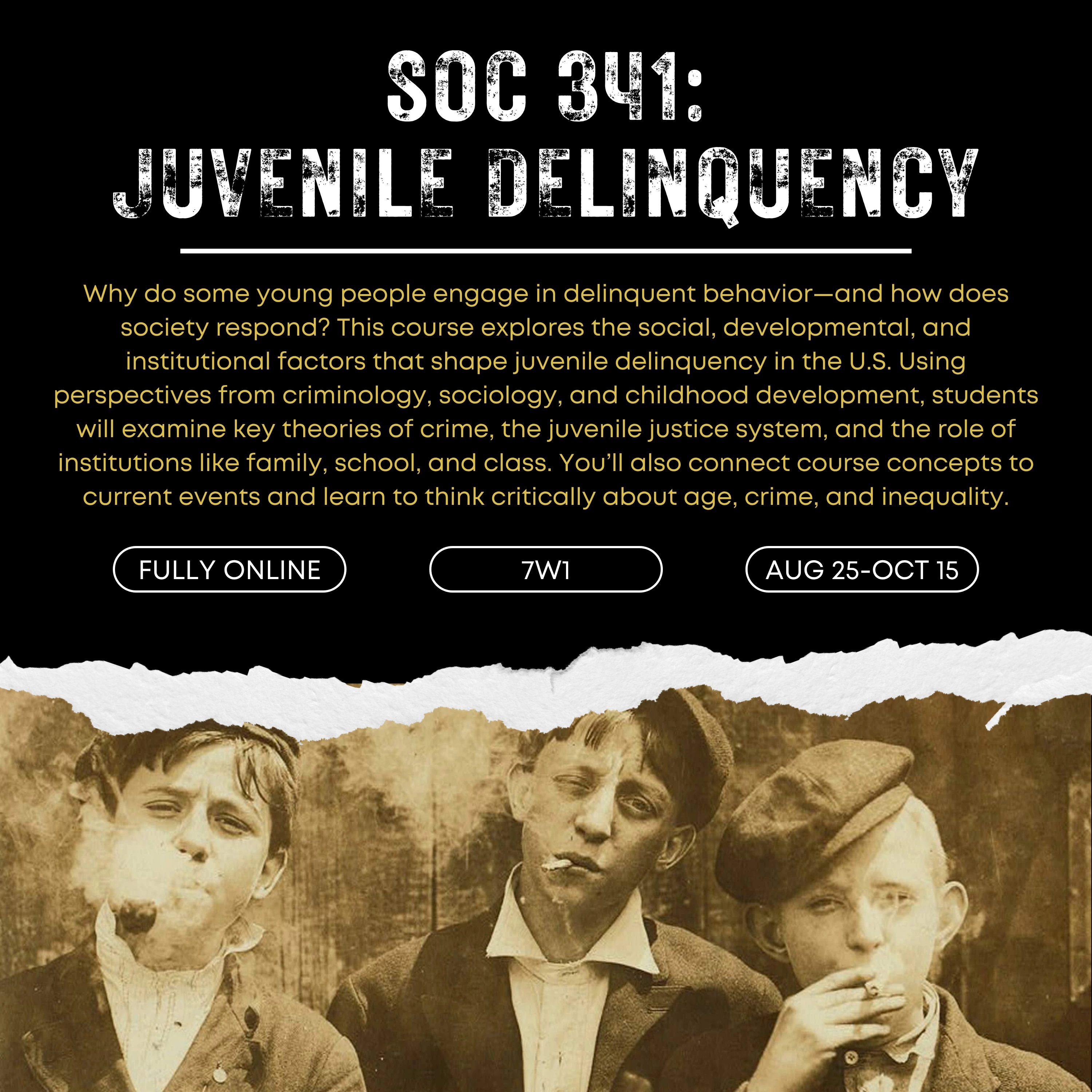 soc 341 flyer