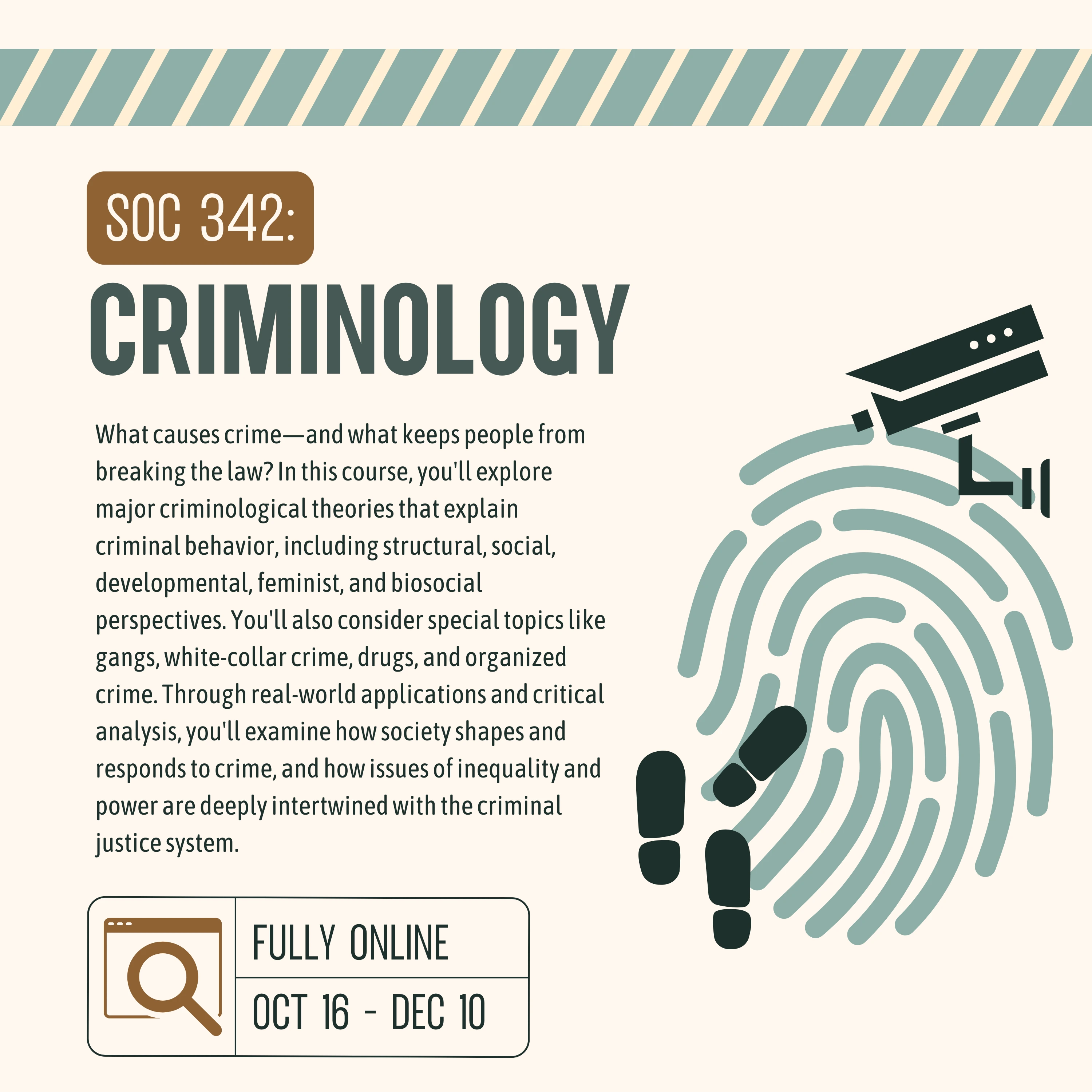 soc 342 flyer