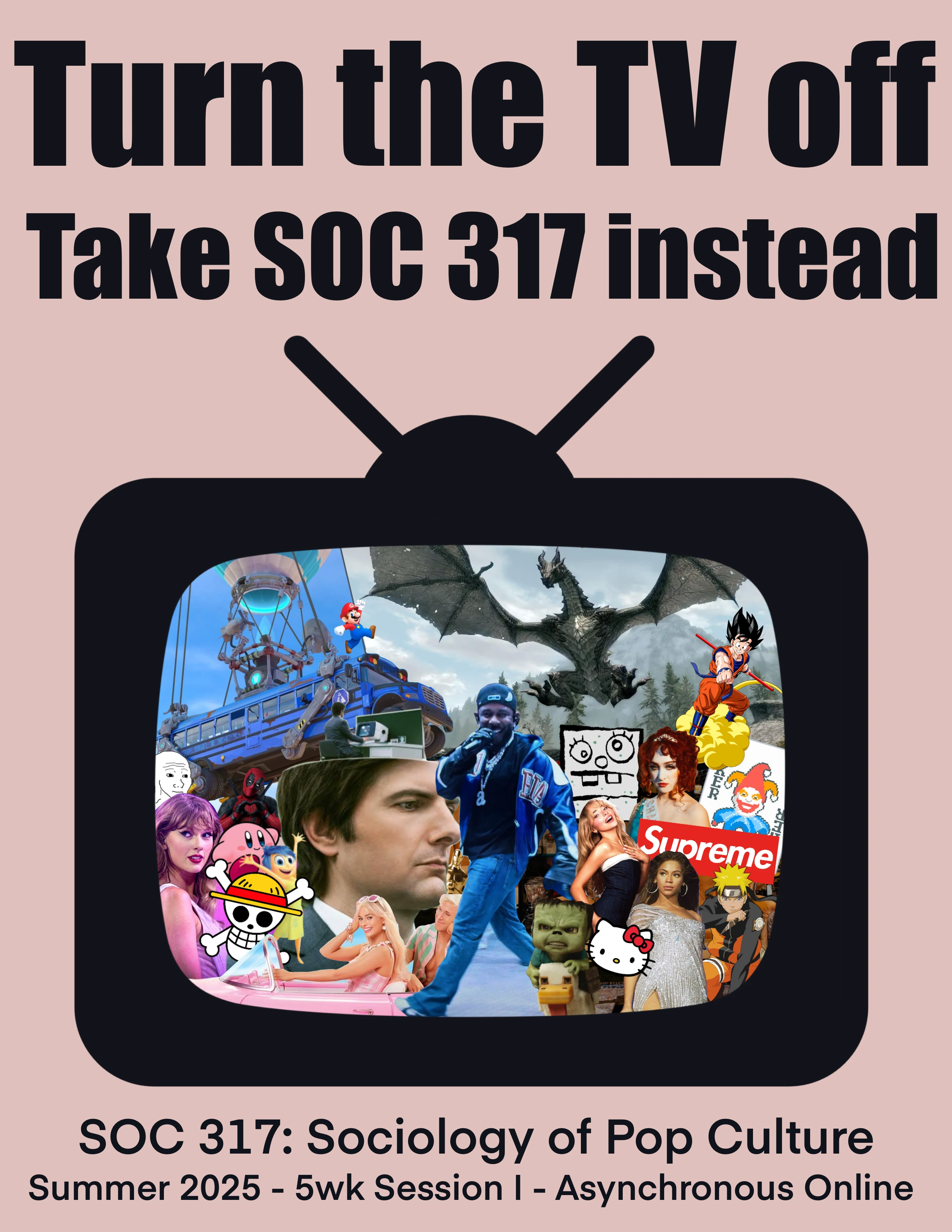soc 317 flyer summer